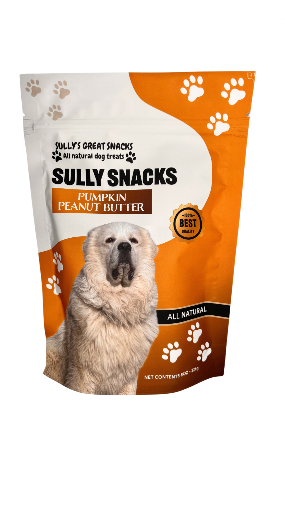 Jolly Pets Fill'n Treat Pumpkin Peanut Butter Dog Treats, 1-oz