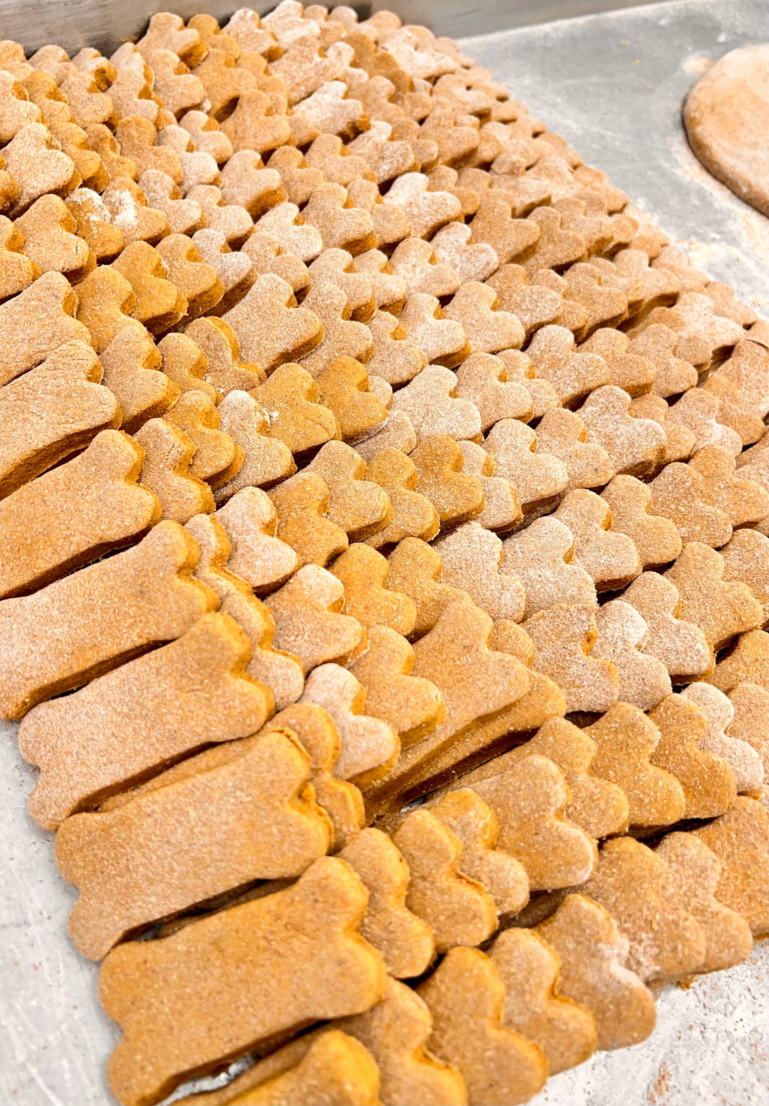 Pumpkin Peanut Butter Treats