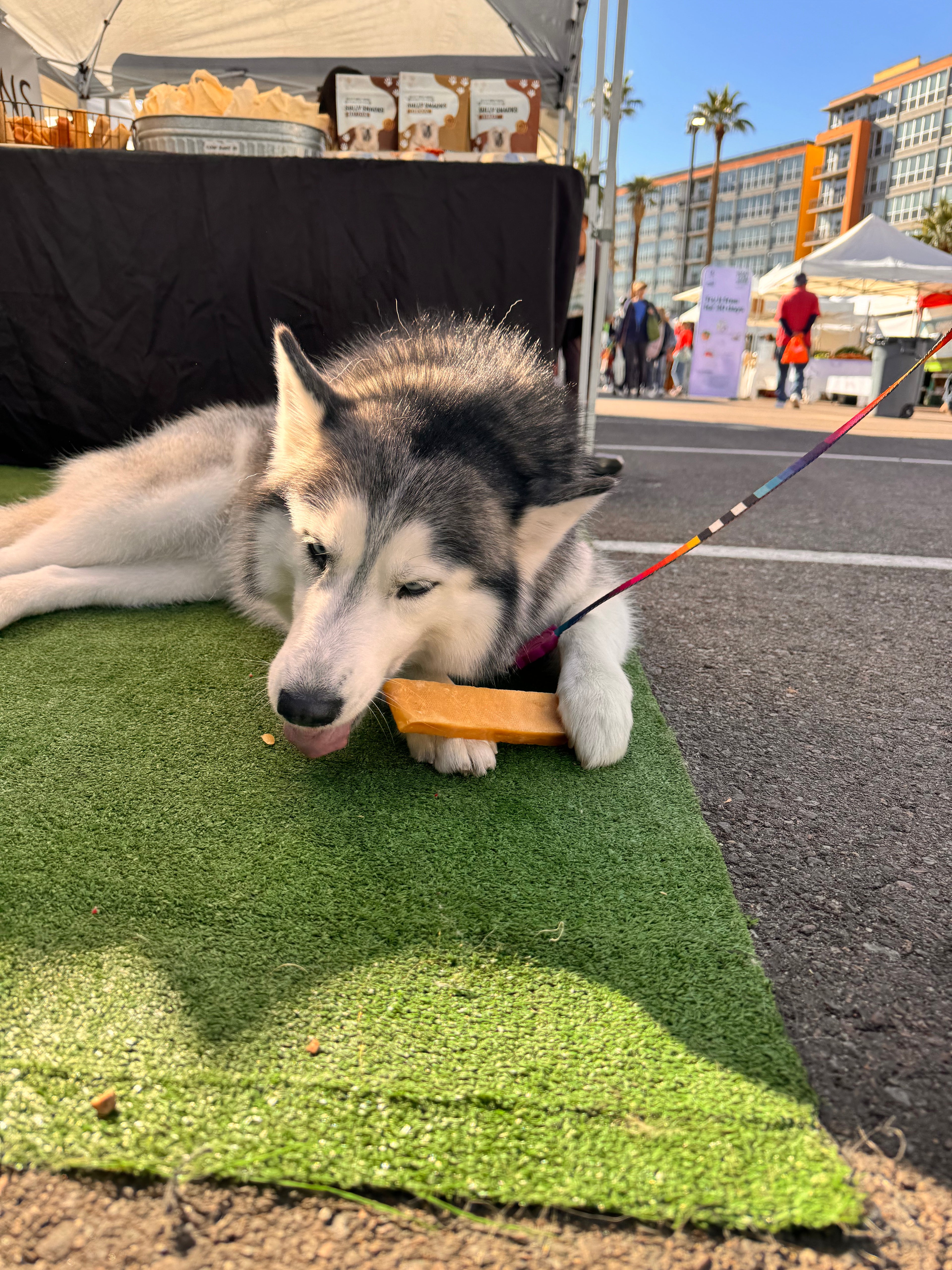 Yak Cheese Chews