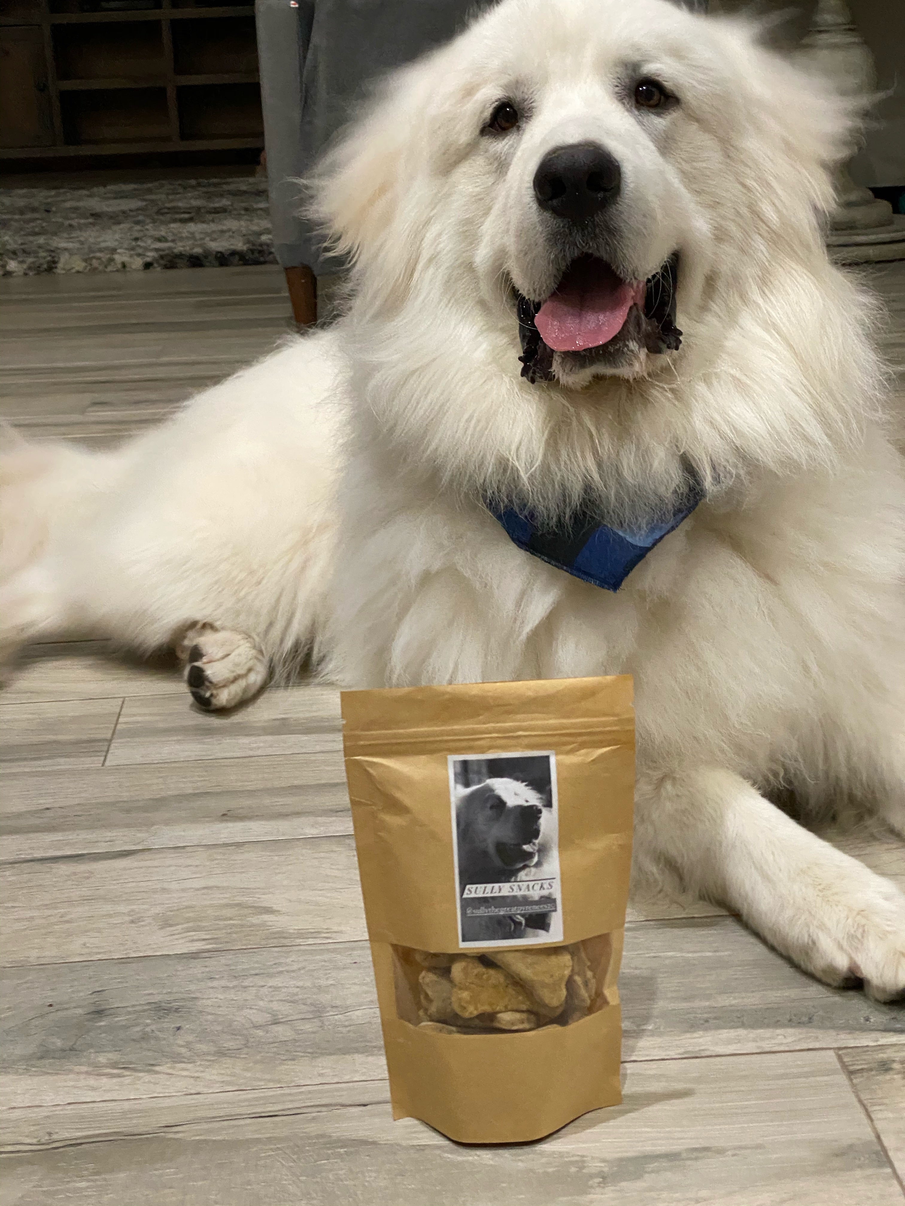 dog treat turkey jerky 