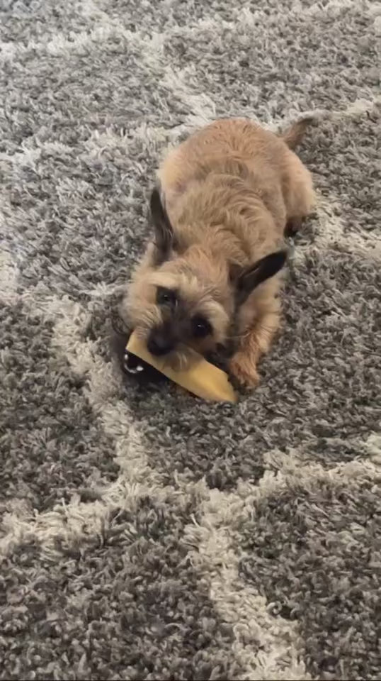 Yak Cheese Chews